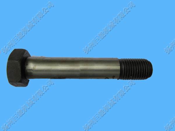 �q�ƿ���˨